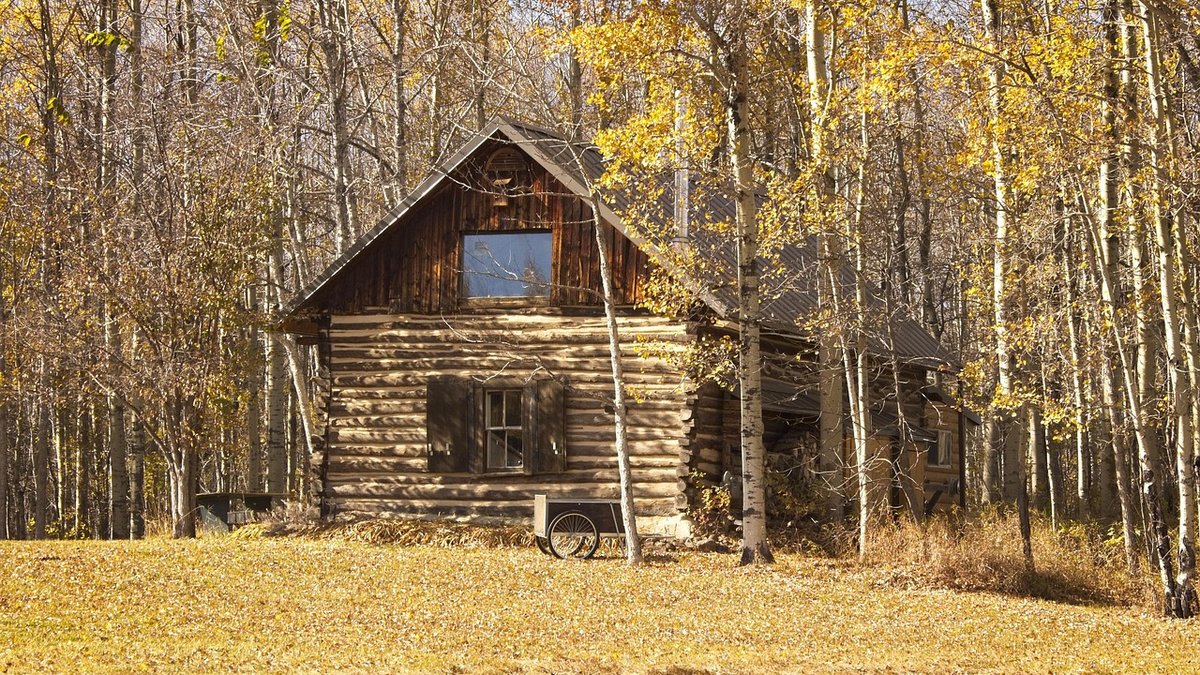 Finding Dog-Friendly Lodges in the Lake District